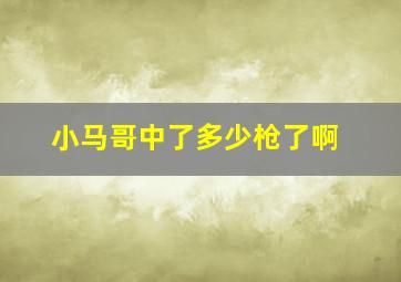 小马哥中了多少枪了啊