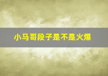 小马哥段子是不是火爆