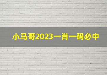 小马哥2023一肖一码必中