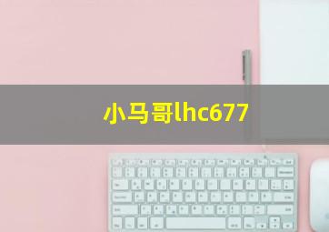 小马哥lhc677