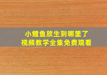 小鲤鱼放生到哪里了视频教学全集免费观看