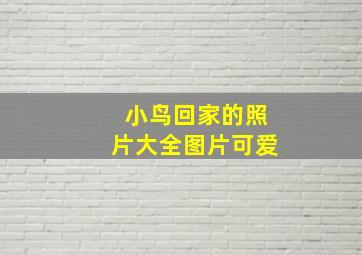 小鸟回家的照片大全图片可爱