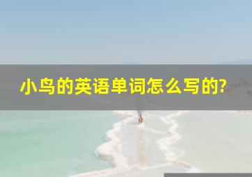 小鸟的英语单词怎么写的?