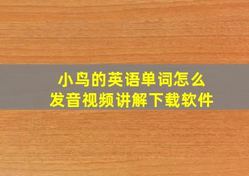 小鸟的英语单词怎么发音视频讲解下载软件