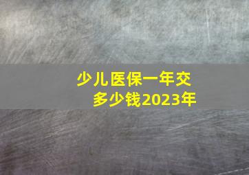 少儿医保一年交多少钱2023年