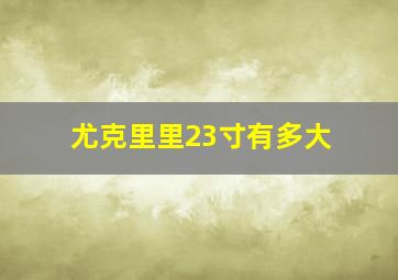 尤克里里23寸有多大