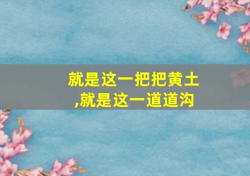 就是这一把把黄土,就是这一道道沟