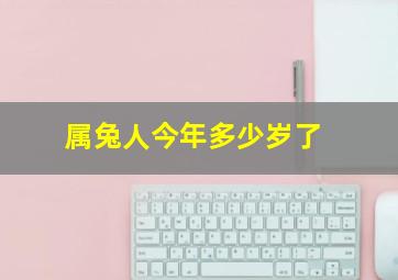 属兔人今年多少岁了