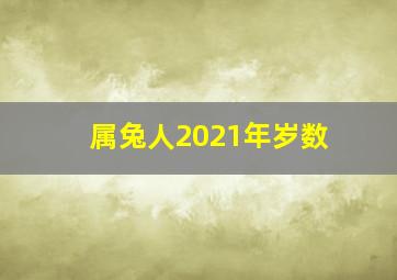 属兔人2021年岁数