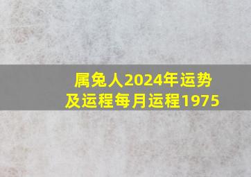 属兔人2024年运势及运程每月运程1975