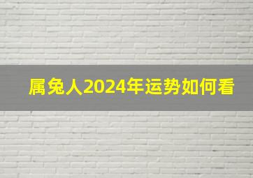 属兔人2024年运势如何看