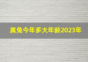 属兔今年多大年龄2023年