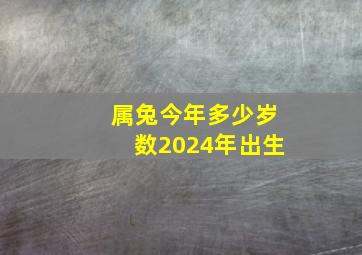 属兔今年多少岁数2024年出生