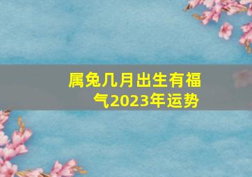 属兔几月出生有福气2023年运势