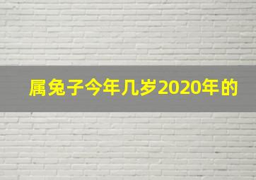 属兔子今年几岁2020年的