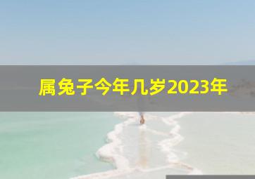 属兔子今年几岁2023年