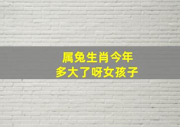 属兔生肖今年多大了呀女孩子