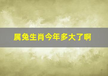 属兔生肖今年多大了啊