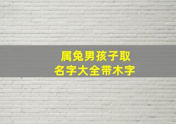 属兔男孩子取名字大全带木字