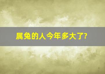 属兔的人今年多大了?