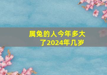 属兔的人今年多大了2024年几岁