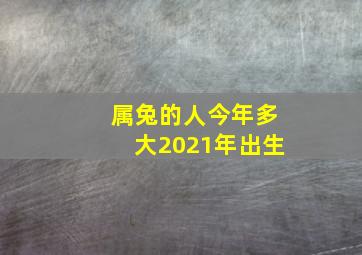 属兔的人今年多大2021年出生