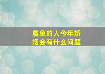 属兔的人今年婚姻会有什么问题