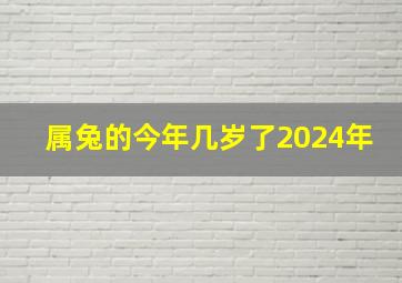 属兔的今年几岁了2024年