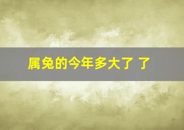 属兔的今年多大了 了