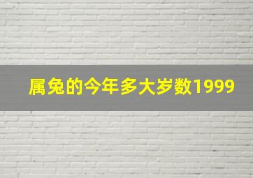 属兔的今年多大岁数1999