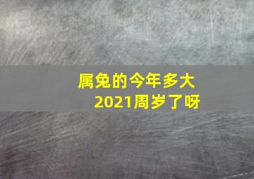 属兔的今年多大2021周岁了呀