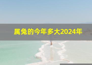 属兔的今年多大2024年