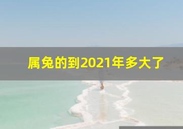 属兔的到2021年多大了