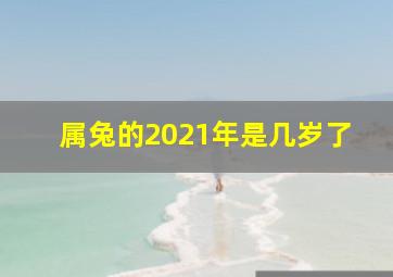 属兔的2021年是几岁了