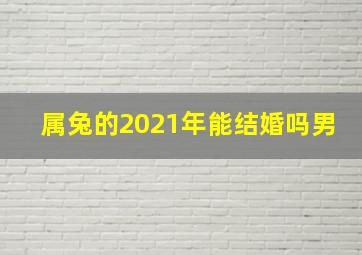 属兔的2021年能结婚吗男