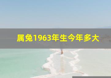 属兔1963年生今年多大