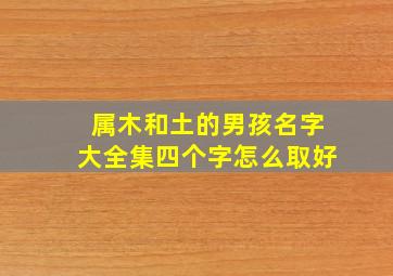 属木和土的男孩名字大全集四个字怎么取好