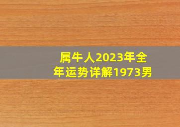 属牛人2023年全年运势详解1973男