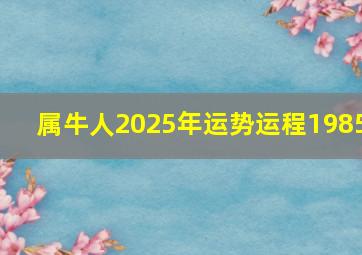 属牛人2025年运势运程1985