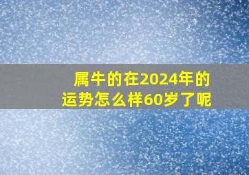 属牛的在2024年的运势怎么样60岁了呢