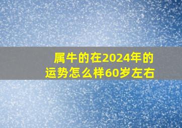 属牛的在2024年的运势怎么样60岁左右