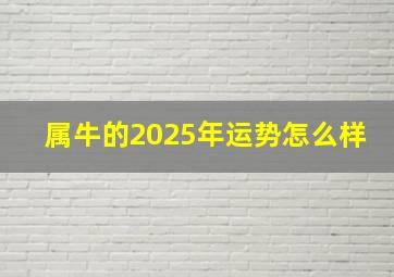 属牛的2025年运势怎么样