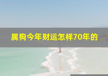 属狗今年财运怎样70年的