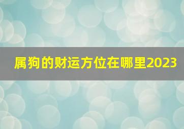 属狗的财运方位在哪里2023