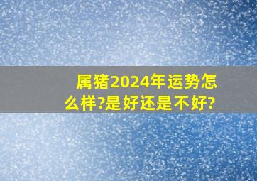 属猪2024年运势怎么样?是好还是不好?