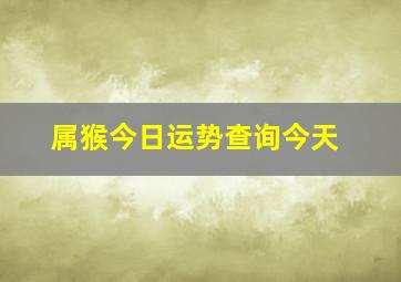 属猴今日运势查询今天