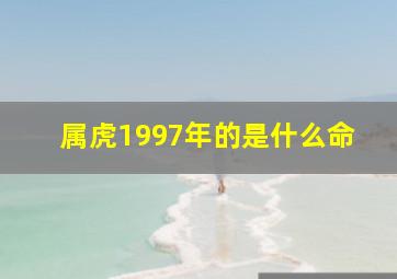 属虎1997年的是什么命