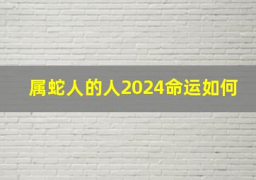 属蛇人的人2024命运如何