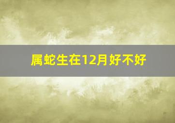 属蛇生在12月好不好