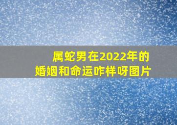 属蛇男在2022年的婚姻和命运咋样呀图片